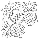pineapple brd crn 001